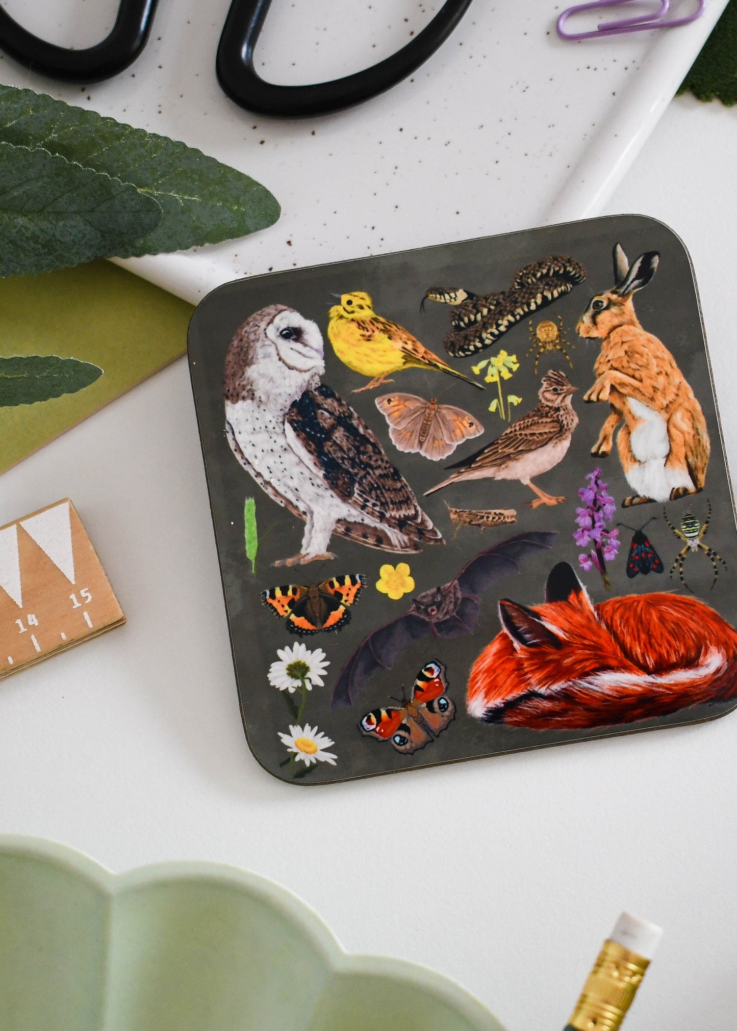 Grassland Wildlife Coaster