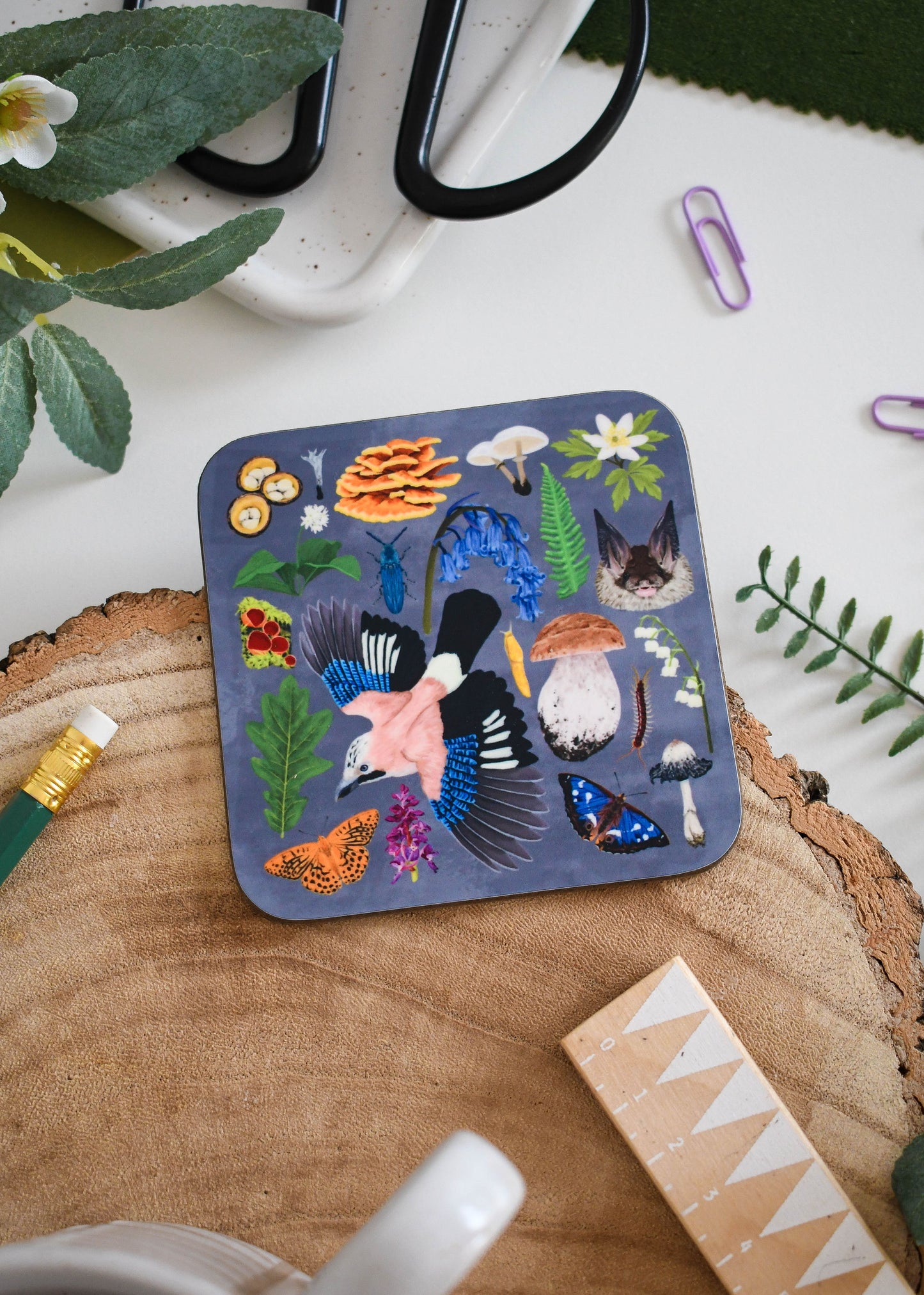 Ancient Woodland Wildlife Coaster