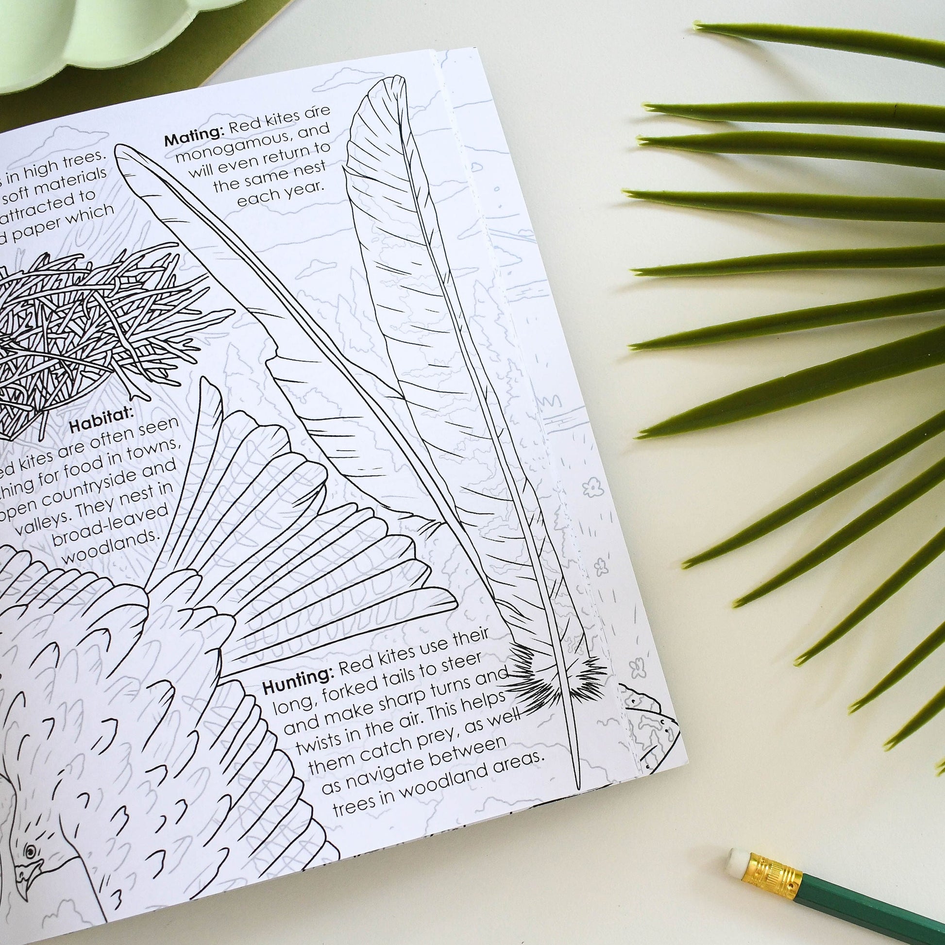 Coloring book page with a red kite illustration and text, surrounded by green leaves and a pencil on a white surface.
