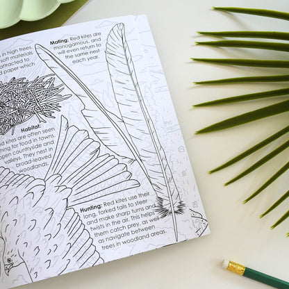 Coloring book page with a red kite illustration and text, surrounded by green leaves and a pencil on a white surface.