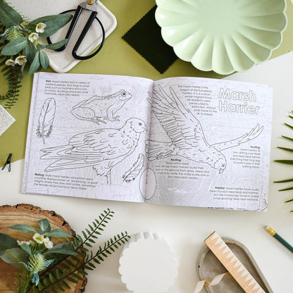 Coloring book open to pages with bird illustrations on a table with stationery items.
