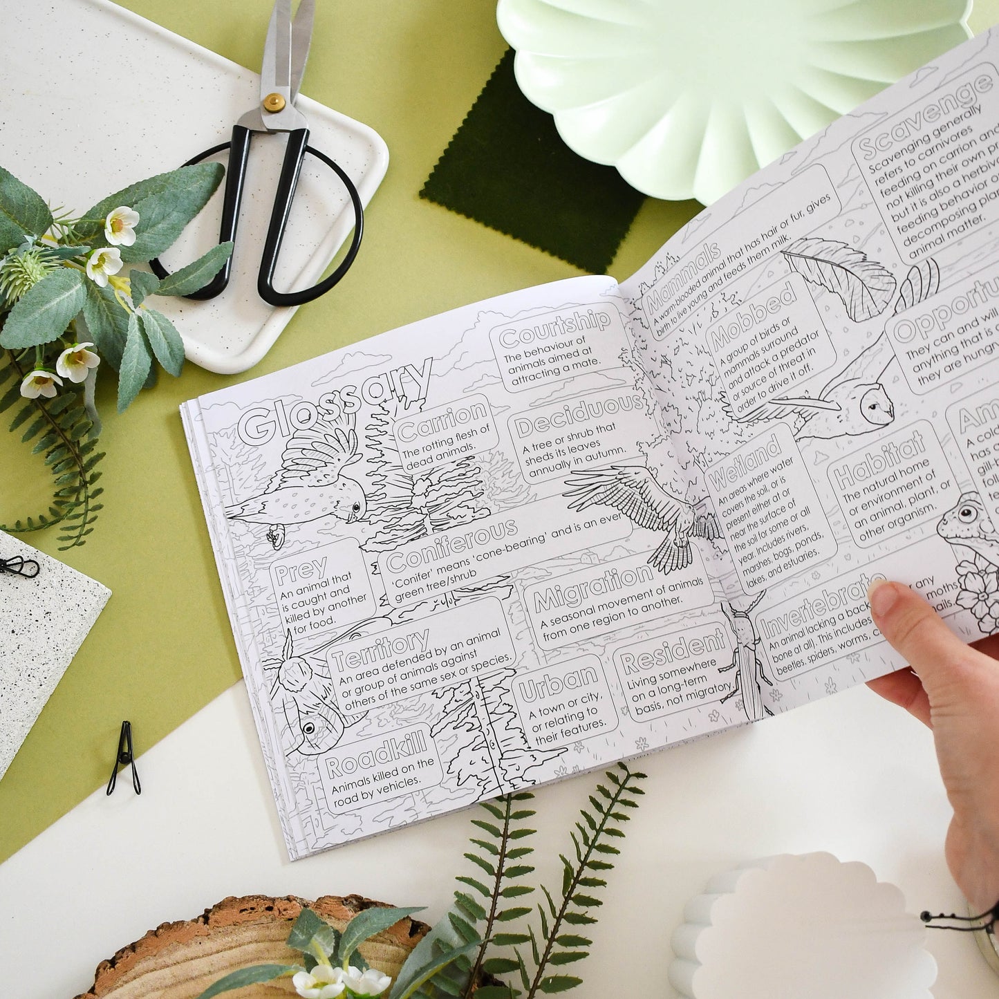 Open book with nature-themed coloring pages on a green surface with plants and scissors.