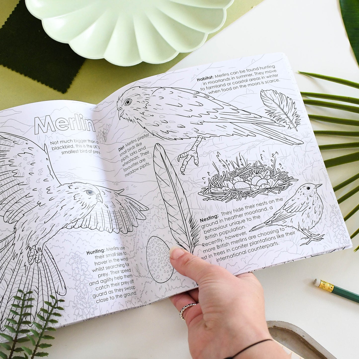 Coloring book with bird illustrations held by a hand, surrounded by greenery.