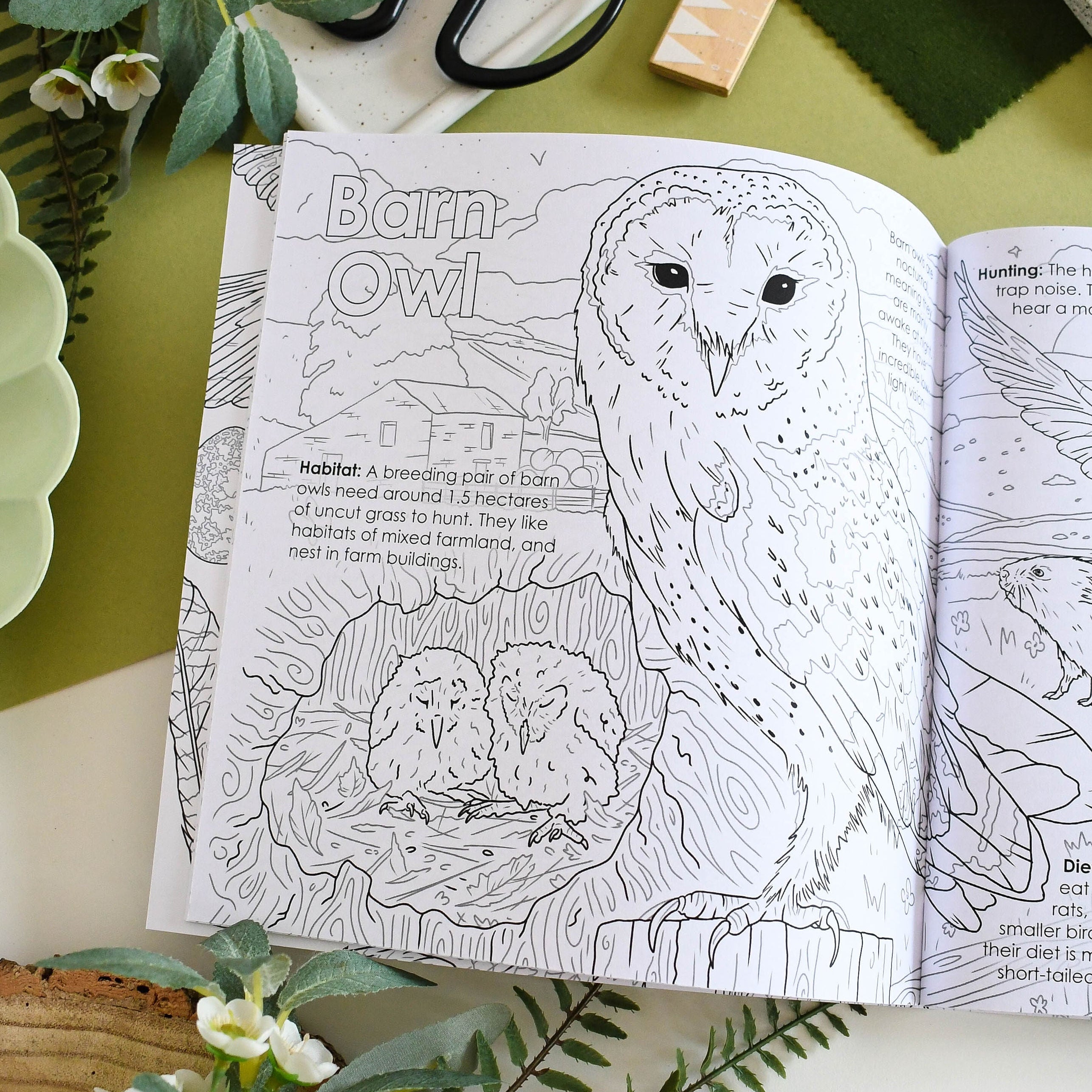 Coloring book open to a page with an owl illustration on a table with greenery and stationery items.