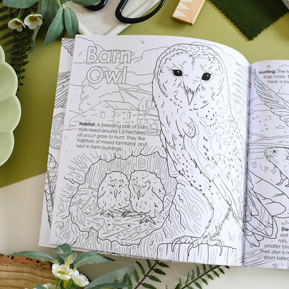 Coloring book open to a page with an owl illustration on a table with greenery and stationery items.