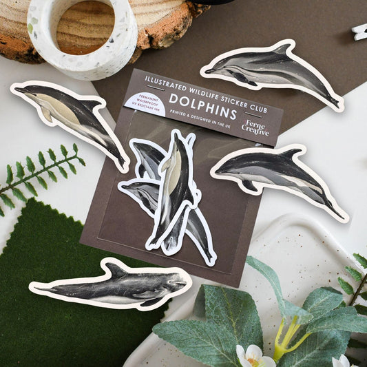 A set of illustrated dolphin stickers arranged on a styled flat-lay surface with a package card reading 'Illustrated Wildlife Sticker Club Dolphins'. The scene includes a wood slice, white marble washi tape, black-handled scissors, green leaves, and small white flowers.