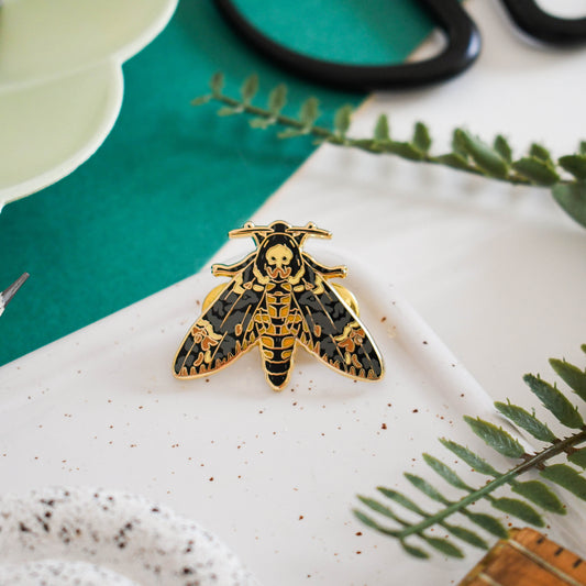 Deaths head hawk moth pin on a textured surface with greenery and scissors in the background