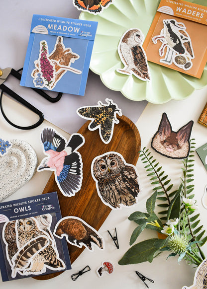 British Wildlife Sticker Subscription