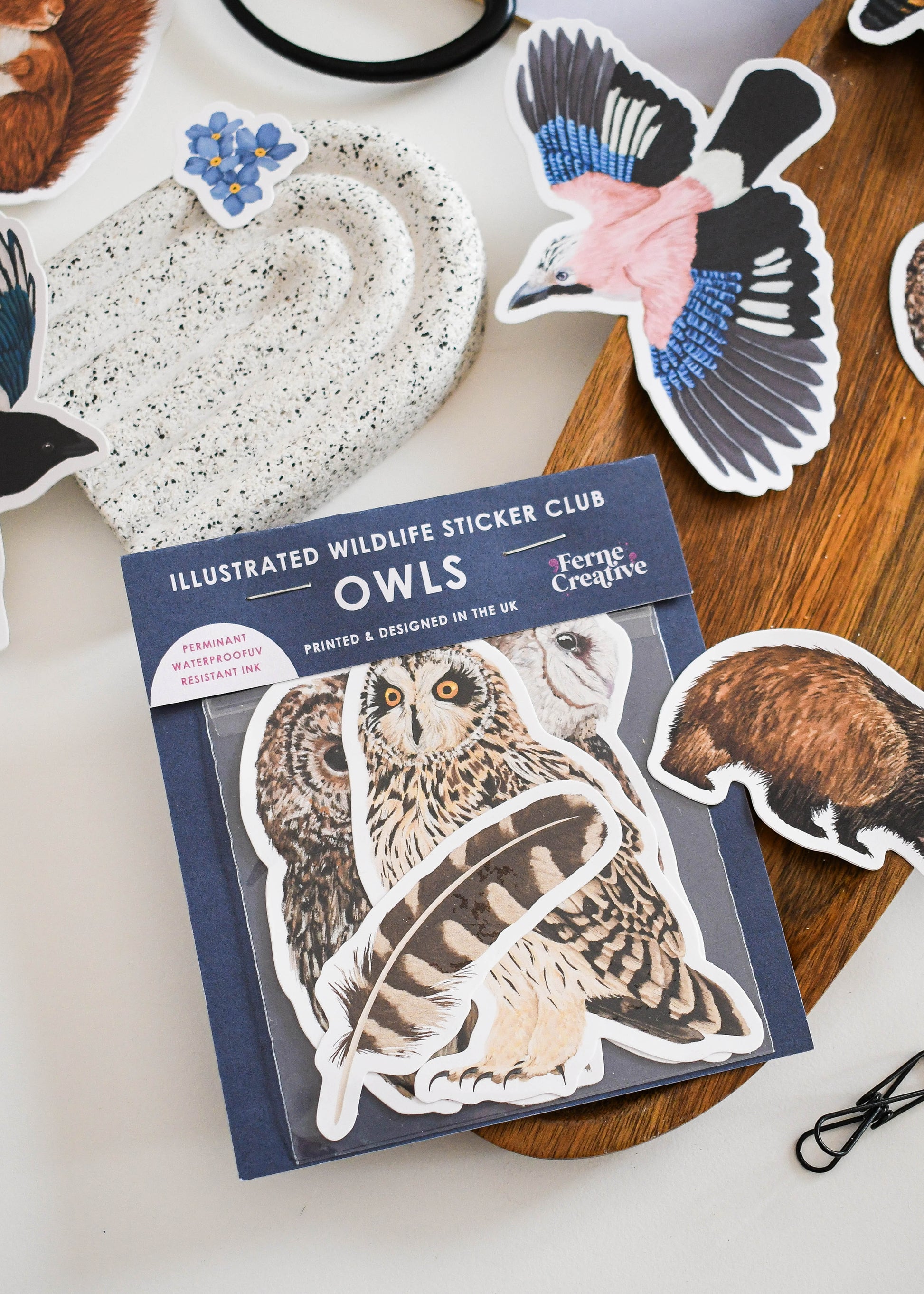 Owl Racing Sticker British Owl Sticker Pack - June Edition – Ferne Creative