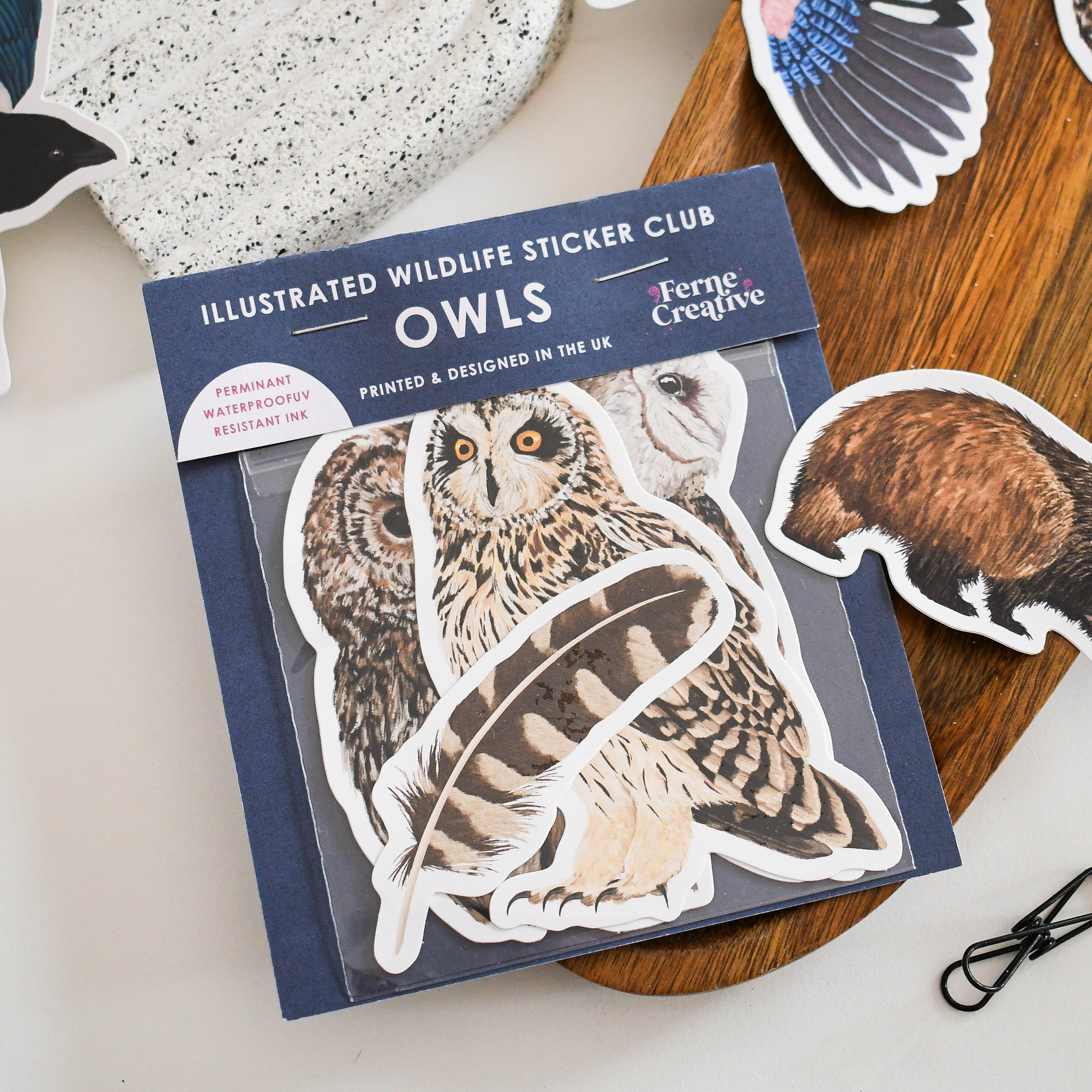 Illustrated wildlife sticker club for owls on a wooden surface with additional stickers.