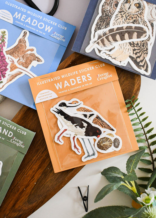 Wading Birds Sticker Pack - March Edition