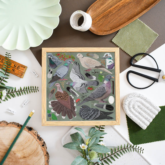Pigeons and Doves Print