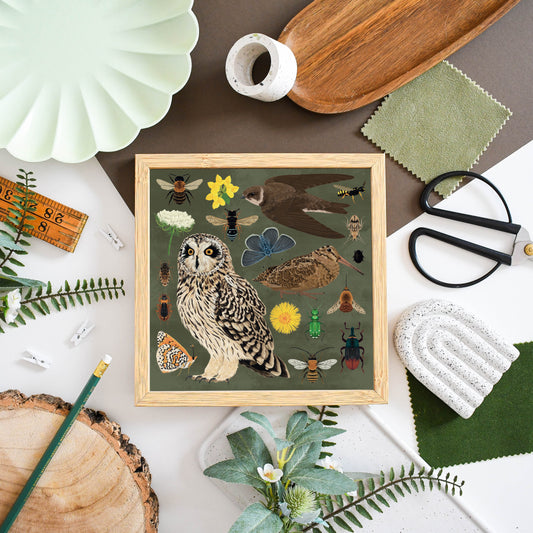 Maritime Soft Cliff Wildlife Print