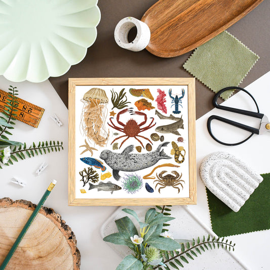 White Marine Life Wildlife Print