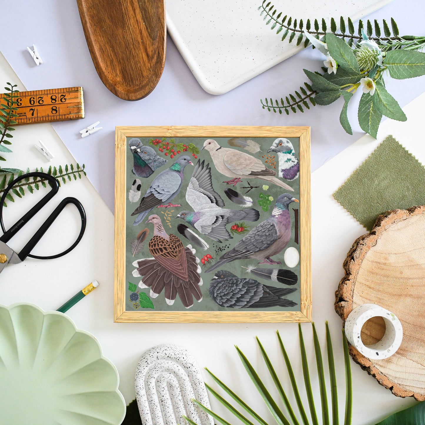 Pigeons and Doves Print