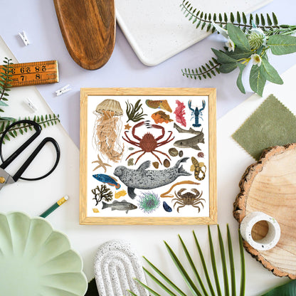 White Marine Life Wildlife Print