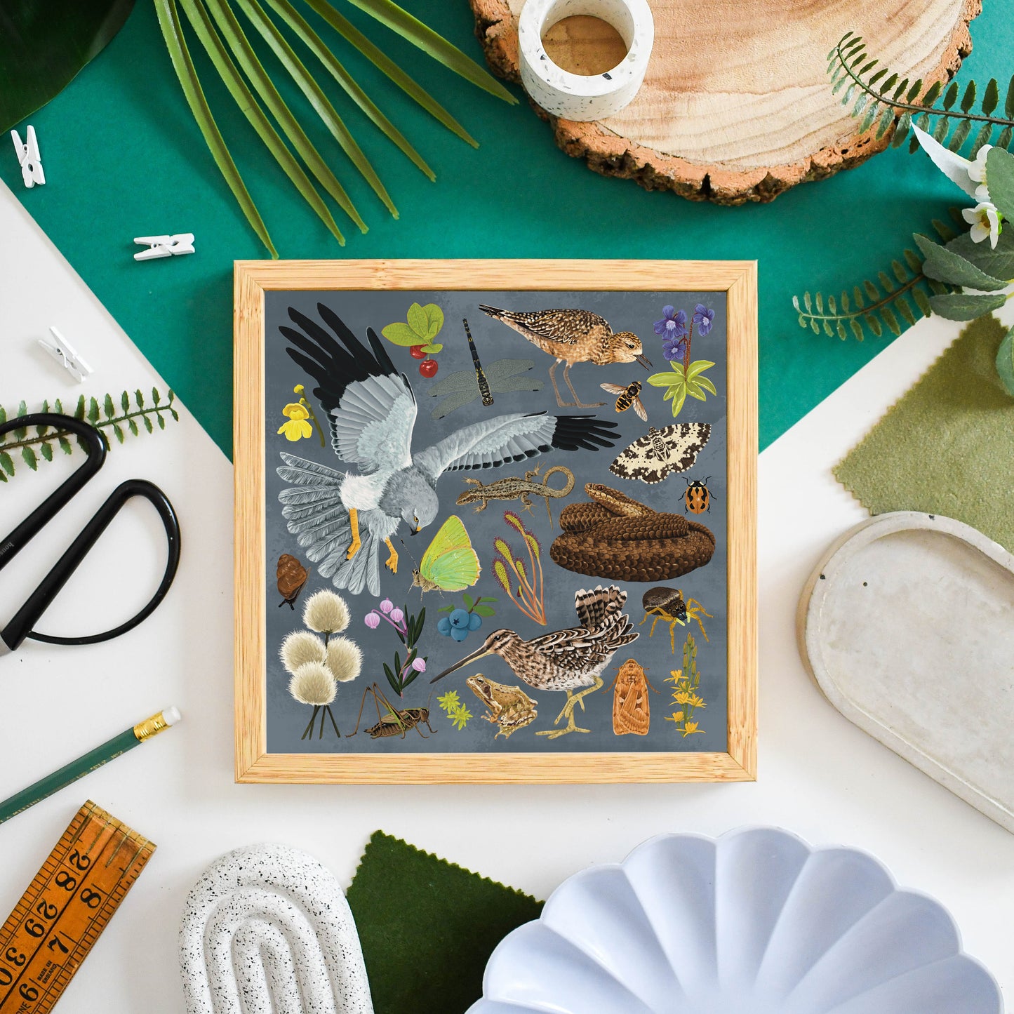 Blanket Bog Wildlife Print