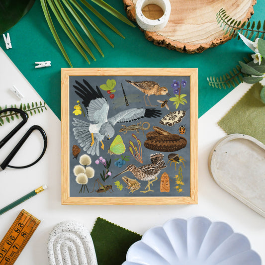 Blanket Bog Wildlife Print