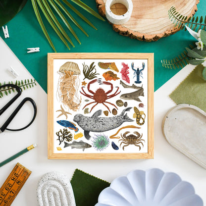 White Marine Life Wildlife Print
