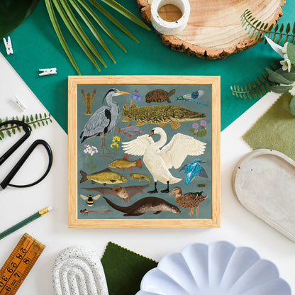 British Waterway Wildlife Print