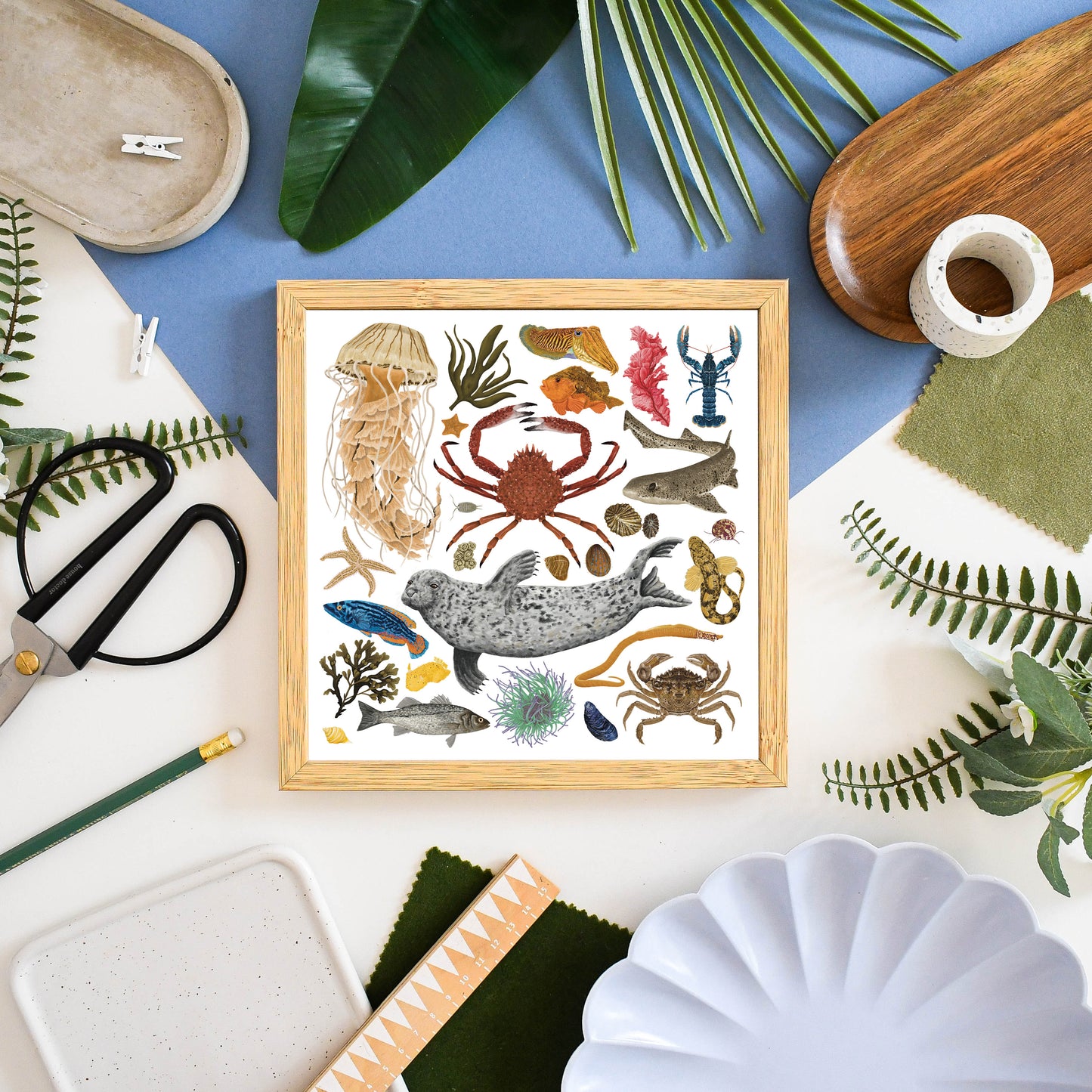 White Marine Life Wildlife Print