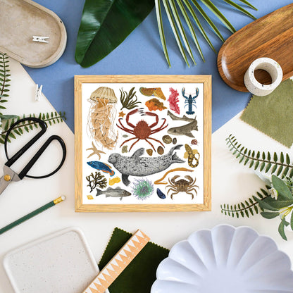 White Marine Life Wildlife Print