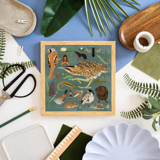 Reedbed Wildlife Print