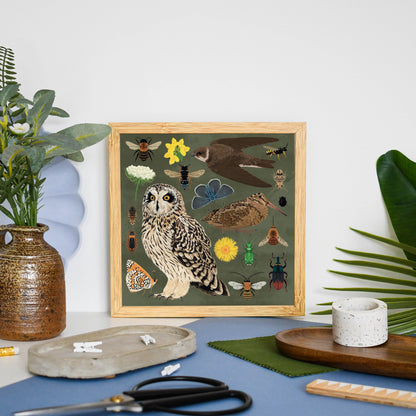 Maritimer Soft Cliff Wildlife Druck