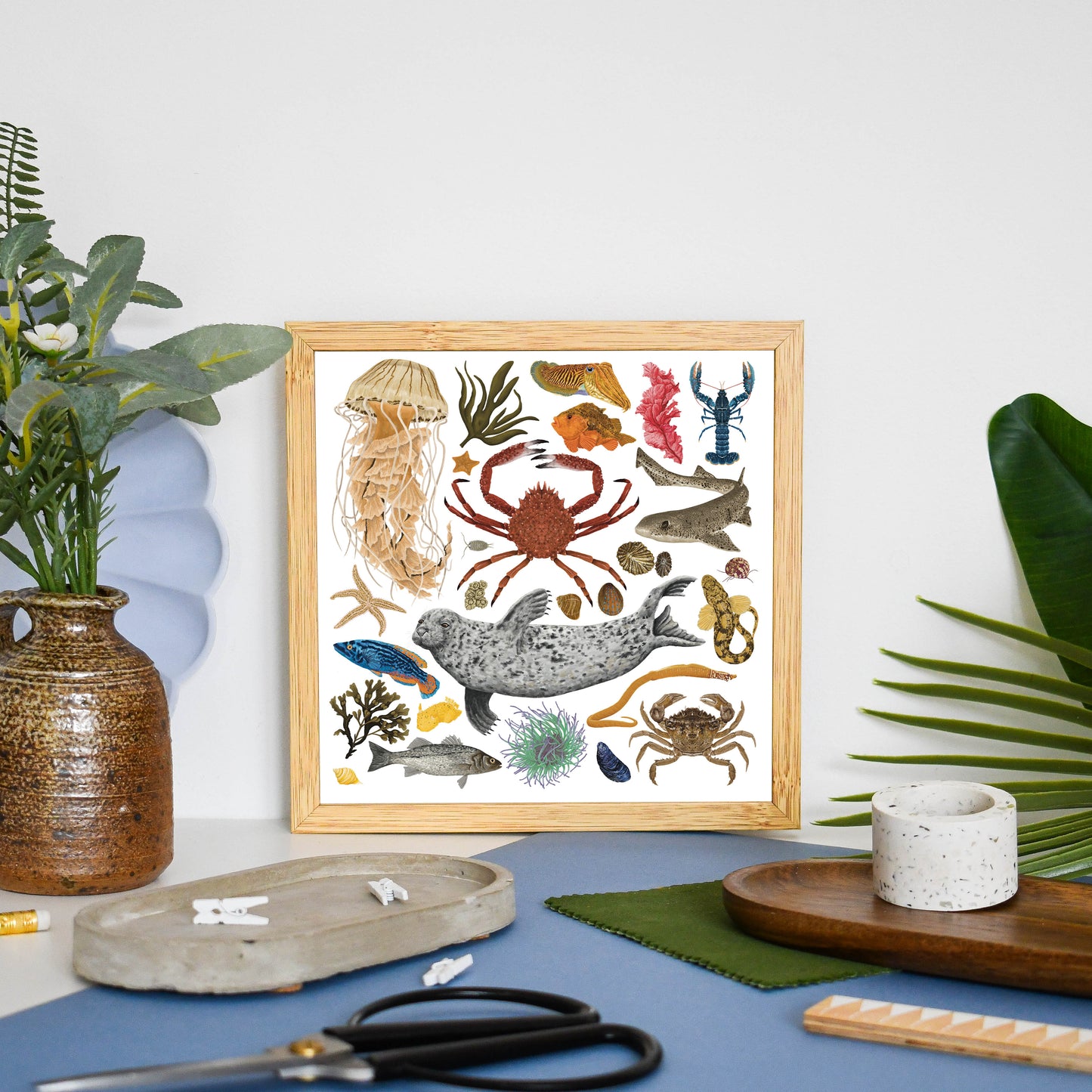White Marine Life Wildlife Print