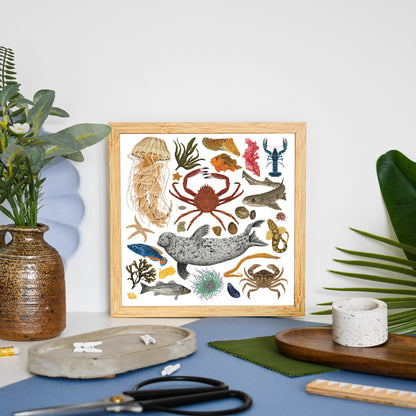 White Marine Life Wildlife Print