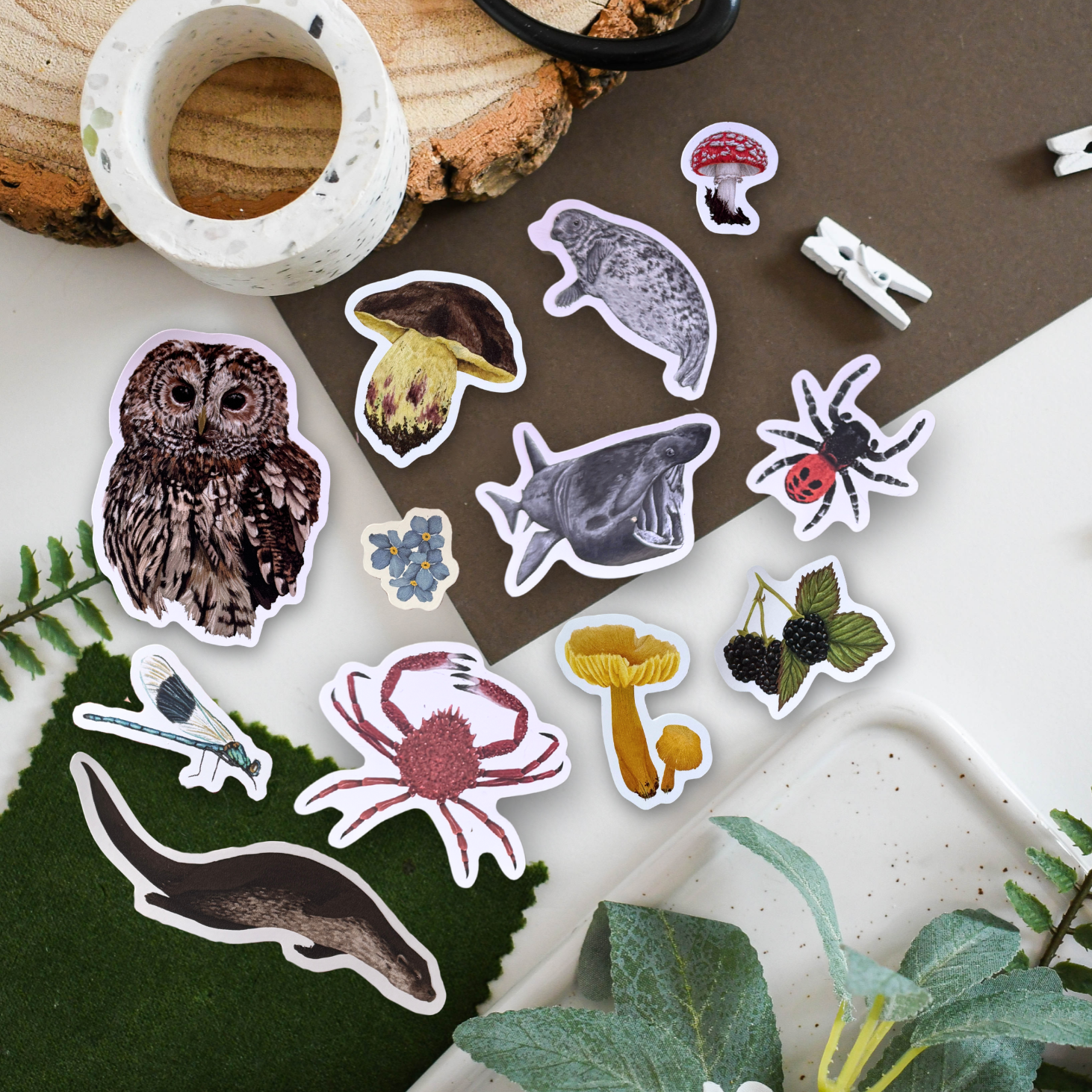 Set of nature-themed stickers on a wooden surface with plants.