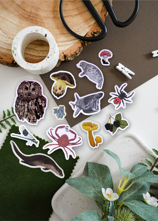 Past Sticker Club Mystery Sticker Bundle