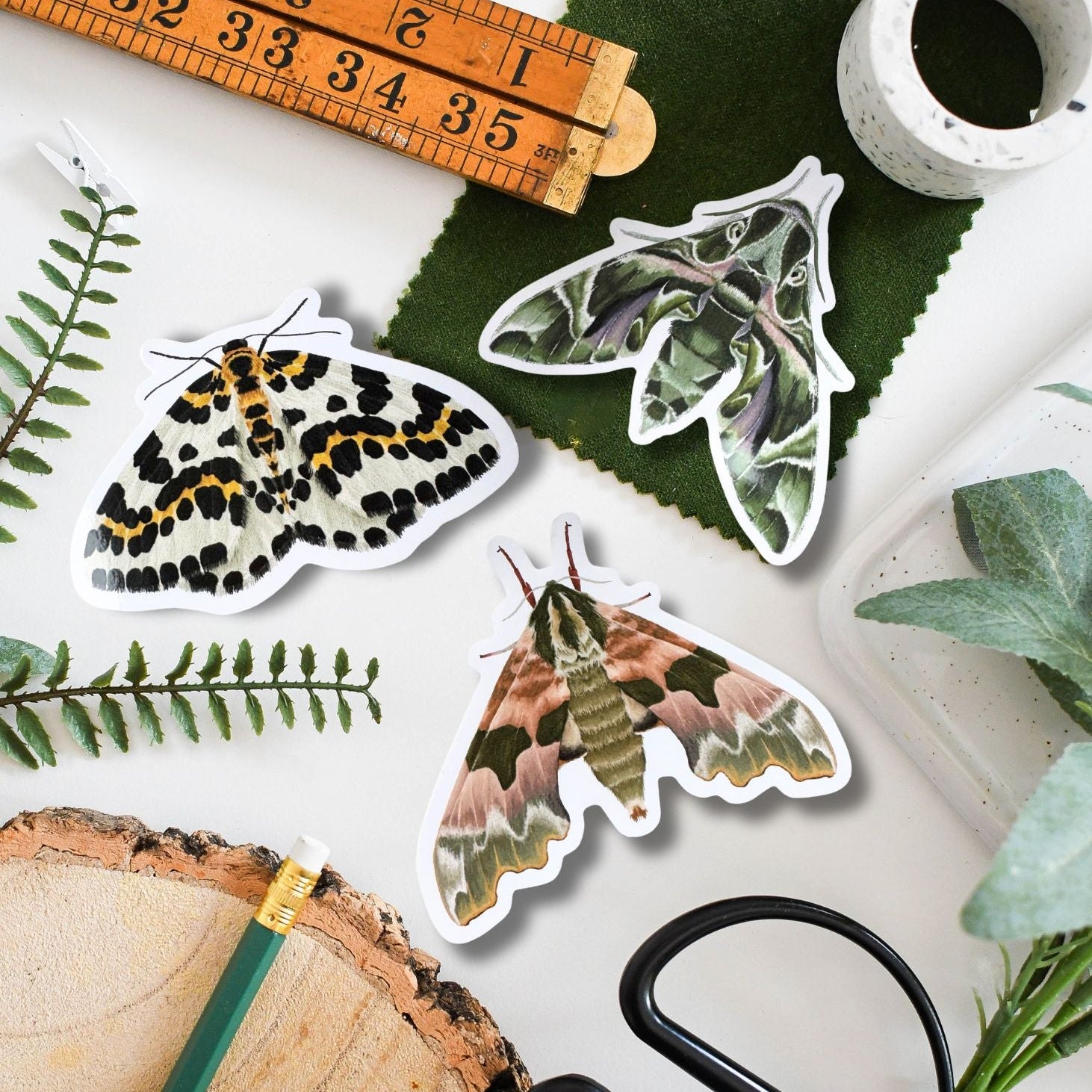 British Moth Vinyl Sticker Pack| Ferne Creative