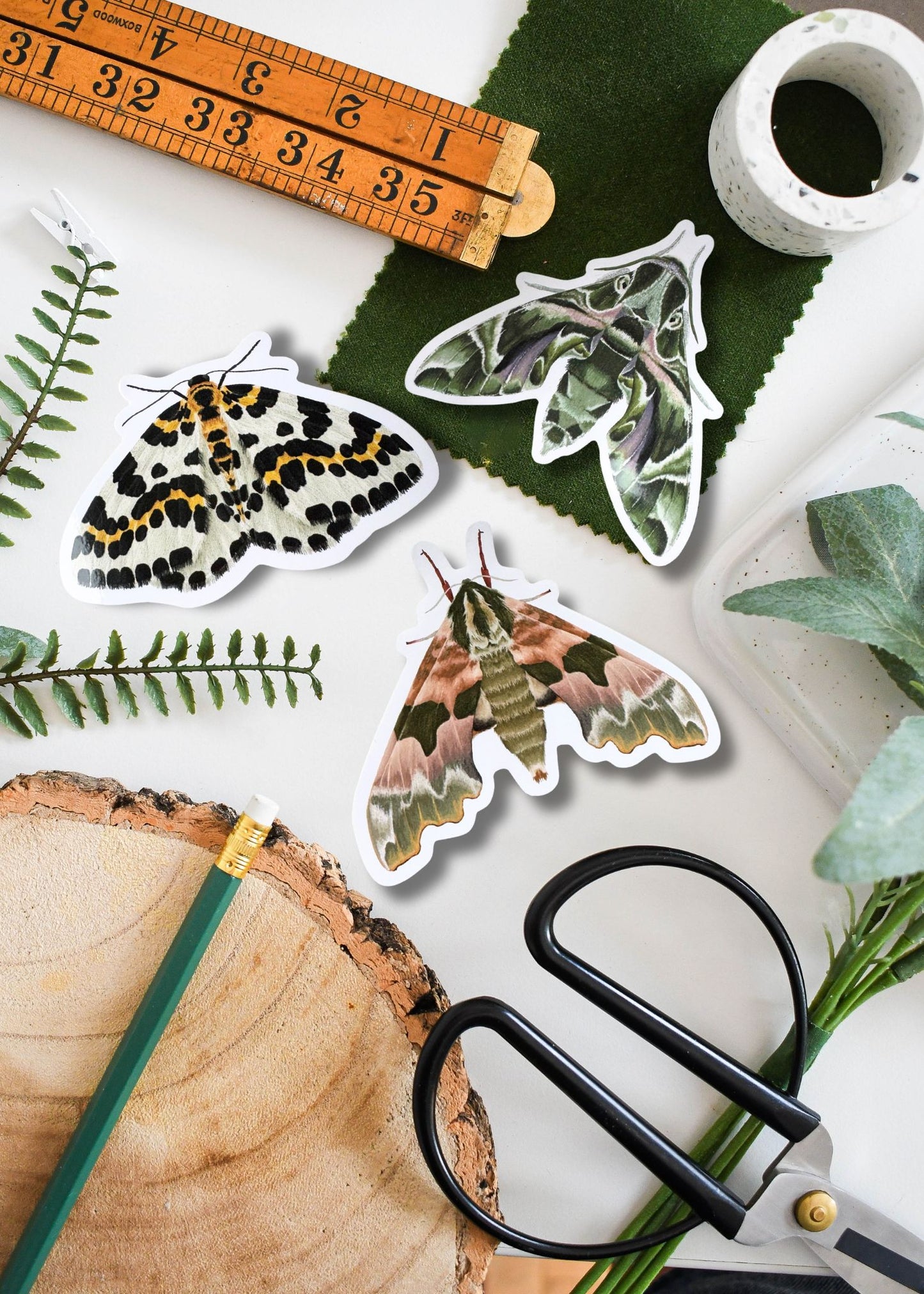British Moth Vinyl Sticker Bundle