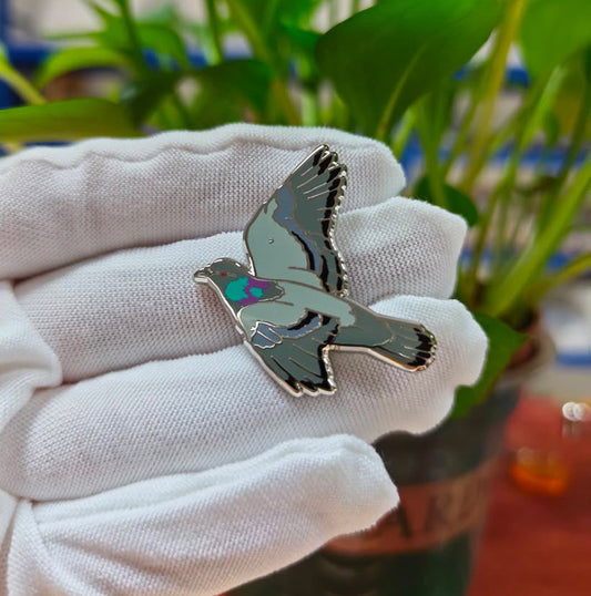 Rock Dove / Pigeon Enamel Pin
