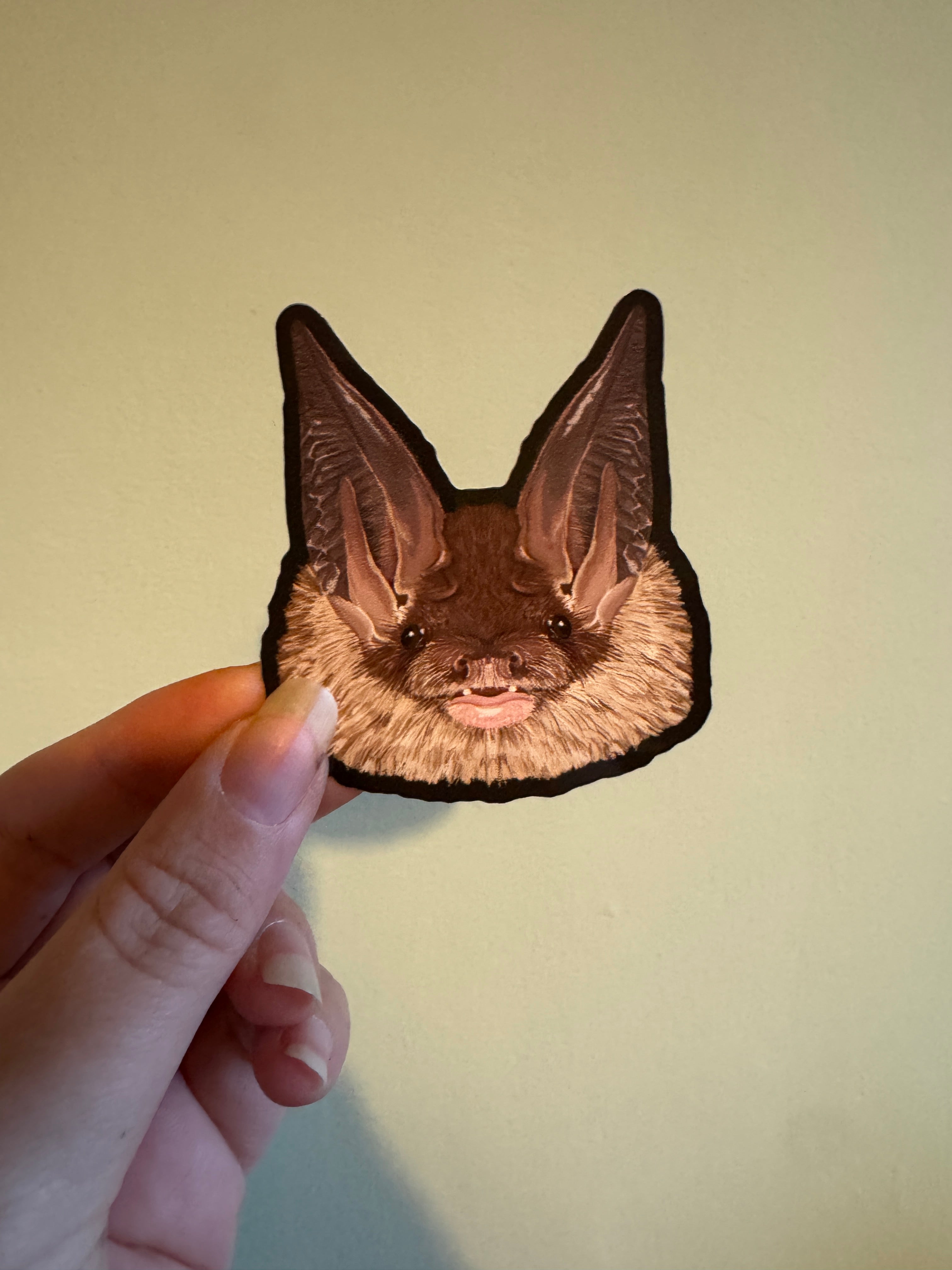 Long-eared Bat Sticker – Ferne Creative