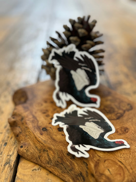 Black Grouse vinyl sticker