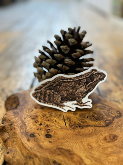 Common Frog Sticker