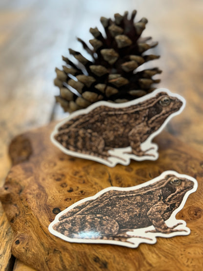 Common Frog Sticker