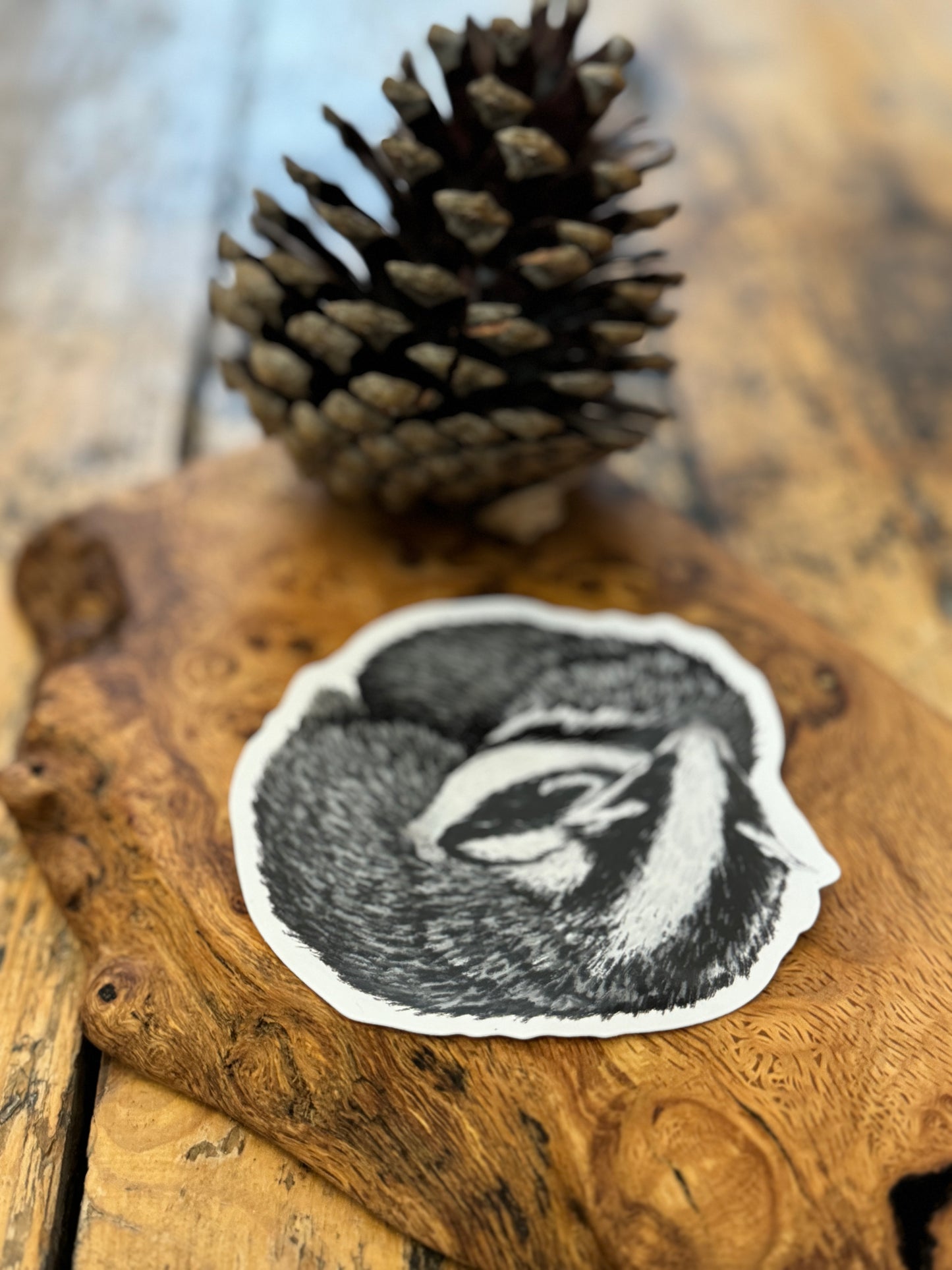 Sleeping Badger Vinyl Sticker