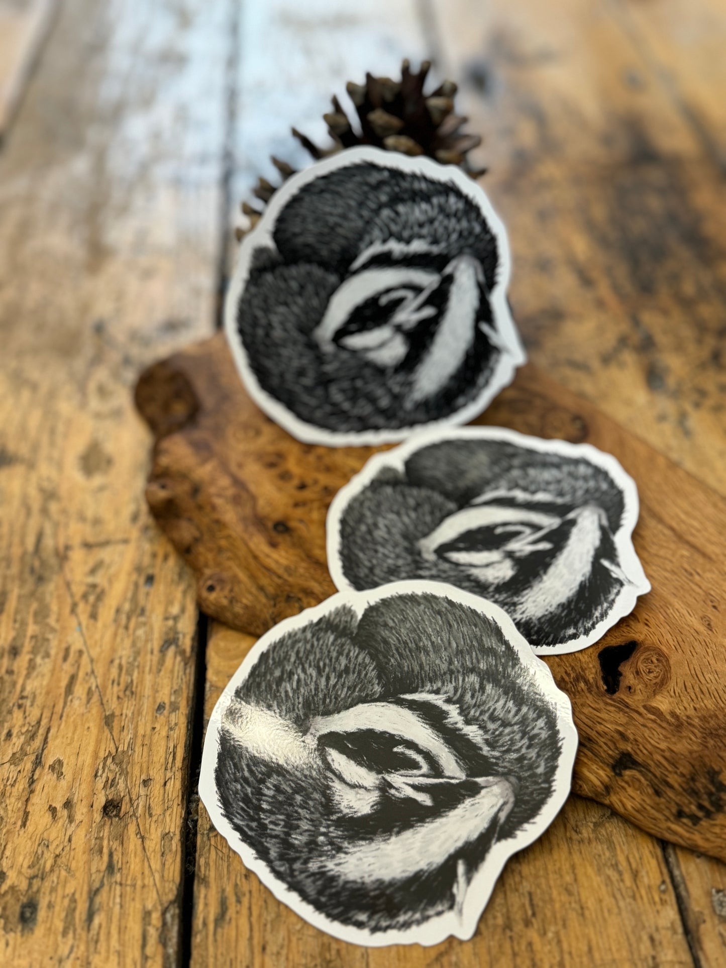 Sleeping Badger Vinyl Sticker