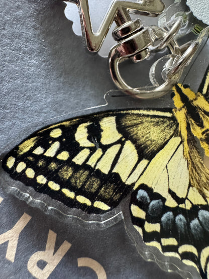 Swallowtail Butterfly and Caterpillar Recycled Plastic Keyring