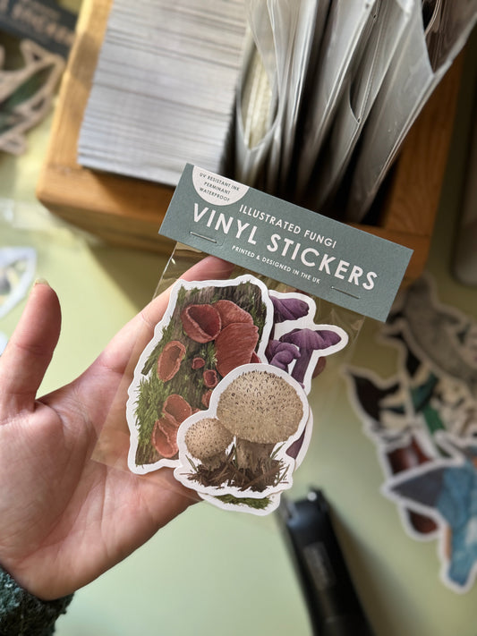 Fungi Vinyl Sticker Bundle