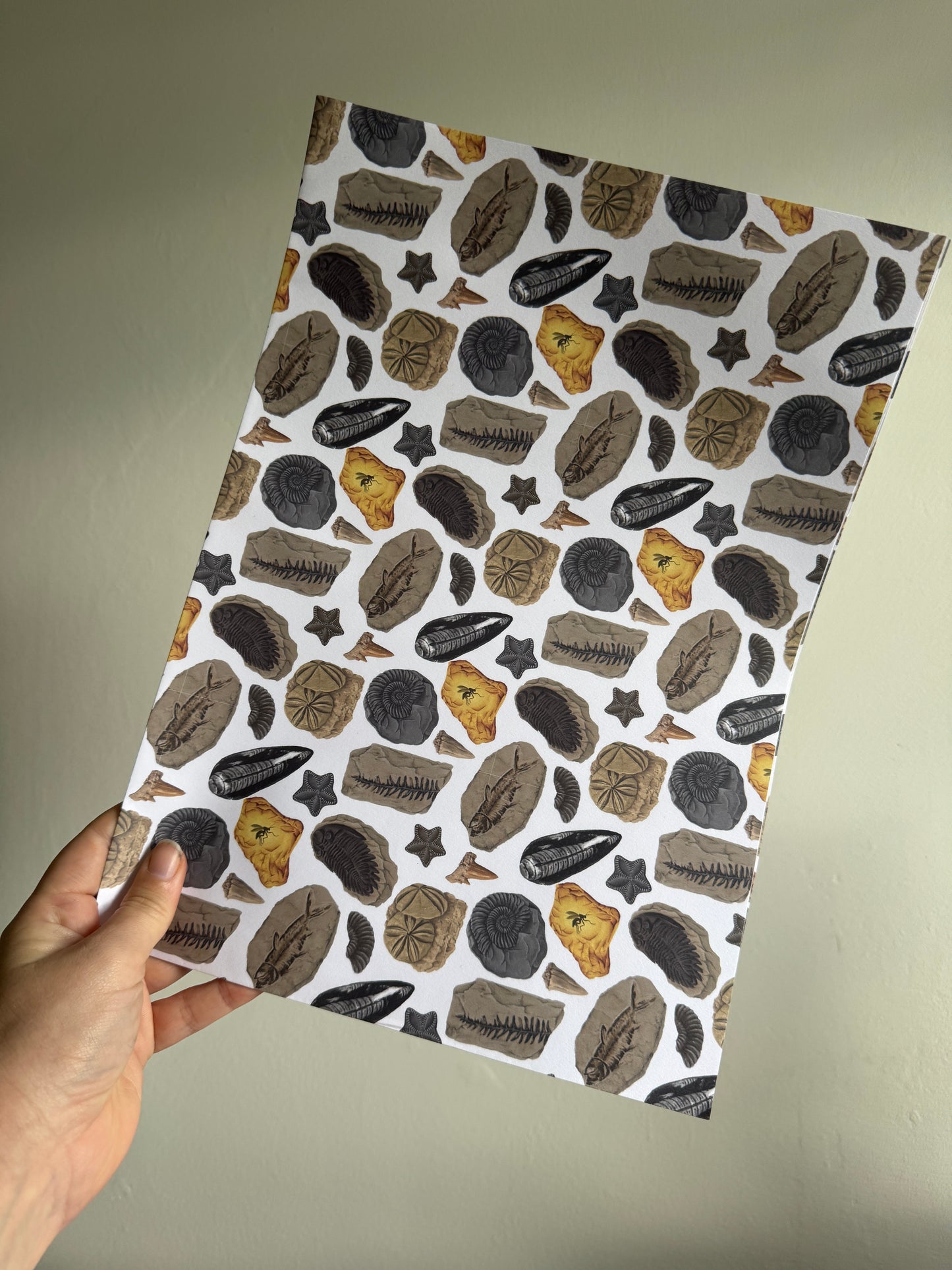 Fossil Wrapping Paper