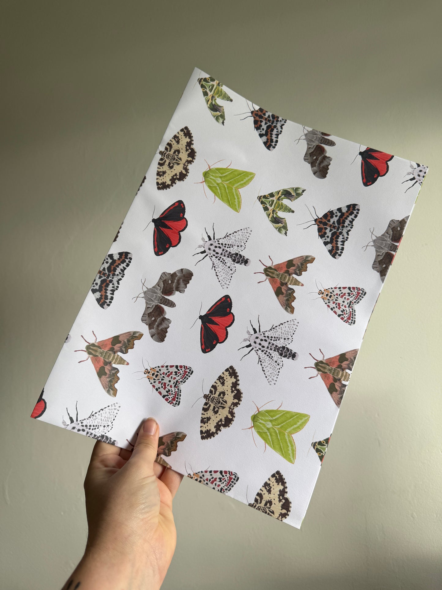 Moth Wrapping Paper