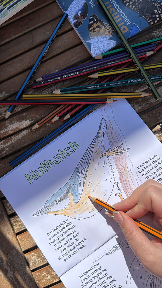 Easy British Bird Colouring Book for Kids - COMING SOON