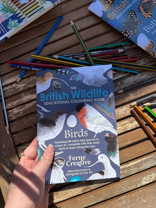 Easy British Bird Colouring Book for Kids - COMING SOON