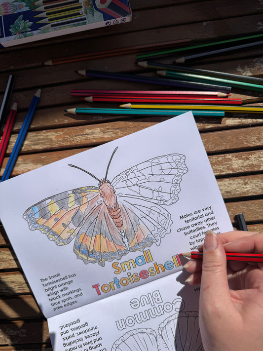 British Butterflies Colouring Book for Kids - COMING SOON