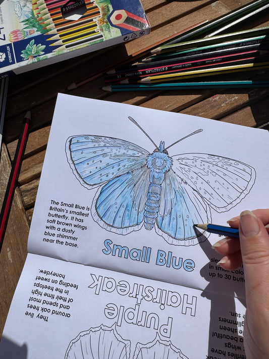 British Butterflies Colouring Book for Kids - COMING SOON