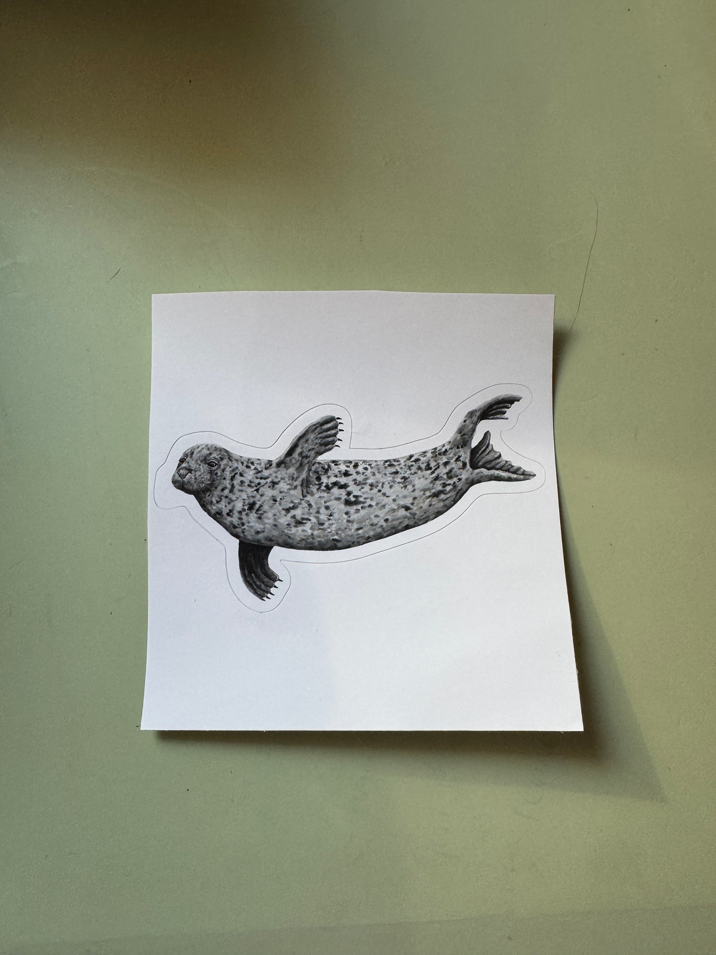 Grey Seal Vinyl Sticker